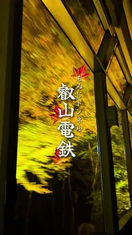 TABISUKI🚗旅情報のTikTok投稿