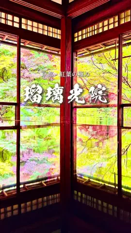 TABISUKI🚗旅情報のTikTok投稿