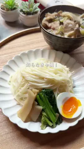 はむのTikTok投稿