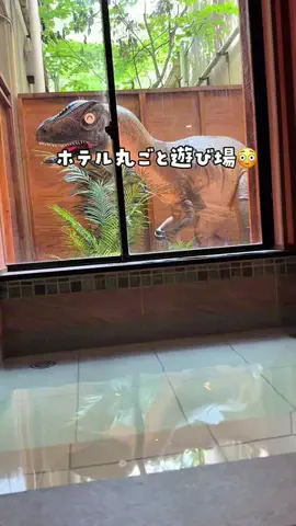 tabi_kids_kansaiのTikTok投稿