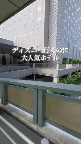 トータスのTikTok投稿