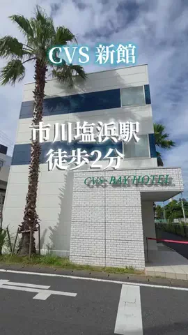 トータスのTikTok投稿