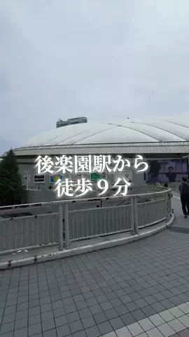 トータスのTikTok投稿