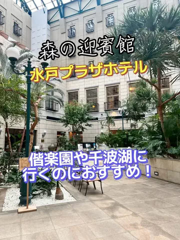 トータスのTikTok投稿
