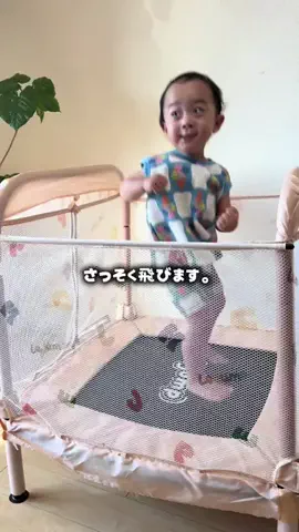 ほいっぷくんのTikTok投稿