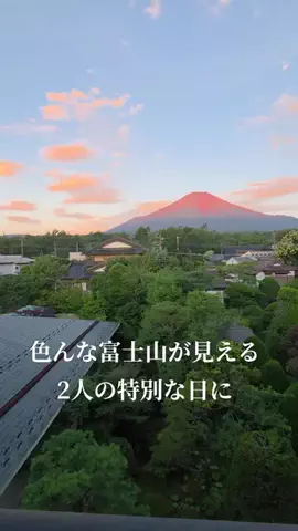 トータスのTikTok投稿