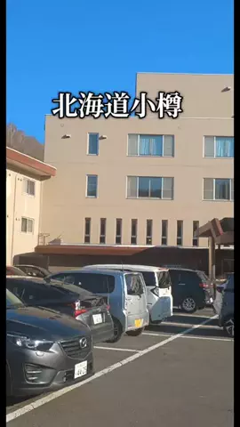 トータスのTikTok投稿