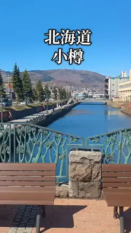トータスのTikTok投稿