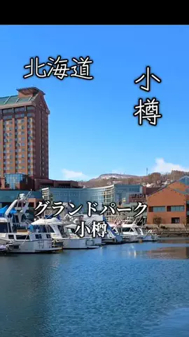トータスのTikTok投稿