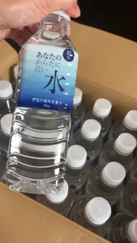 サンギタのTikTok投稿