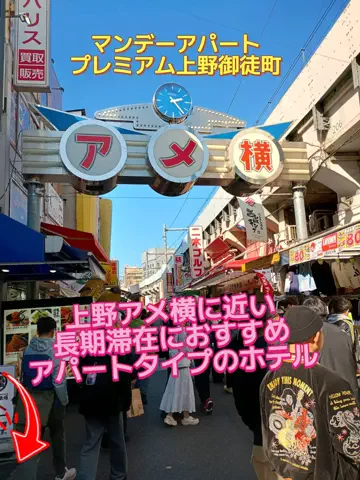 トータスのTikTok投稿