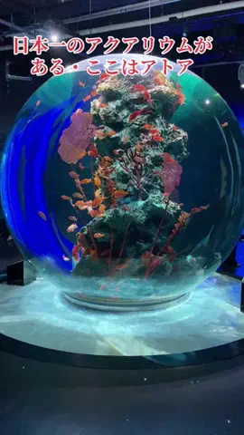 ローゼスオンスタイルのTikTok PR投稿：日本一のアクアリウムがあるアトア❣ 水族館なのです🐠…