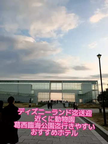 トータスのTikTok投稿