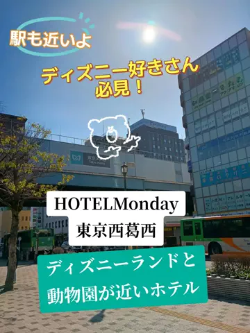 トータスのTikTok投稿