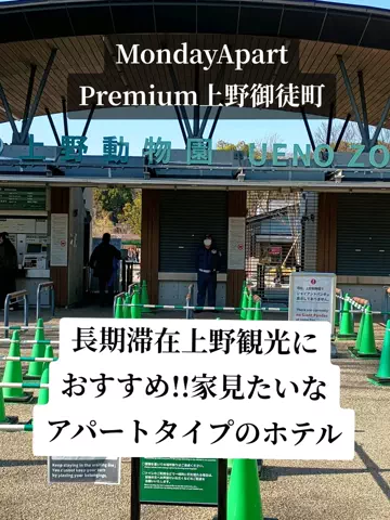 トータスのTikTok投稿