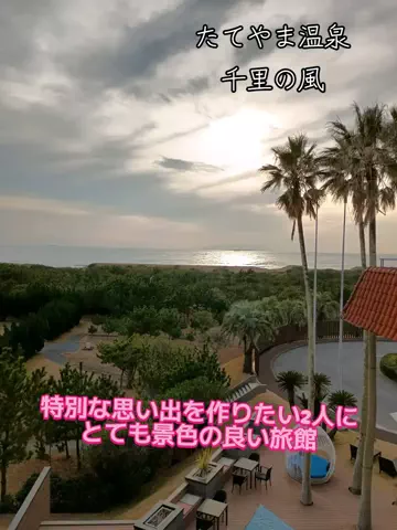 トータスのTikTok投稿
