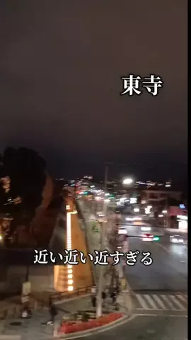 トータスのTikTok投稿