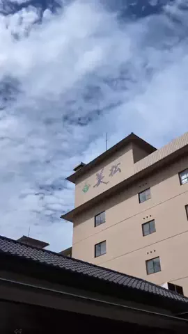 ハムチーズのTikTok投稿
