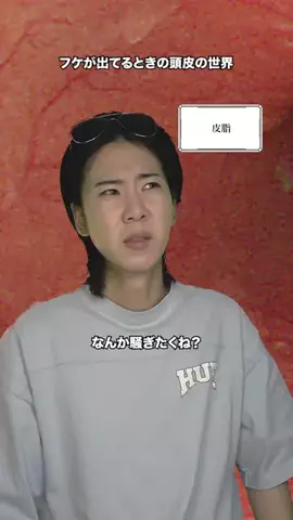 ひょうどうチャンネルのTikTok投稿