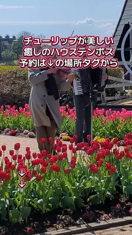 トアンもん　チャンネルのTikTok投稿