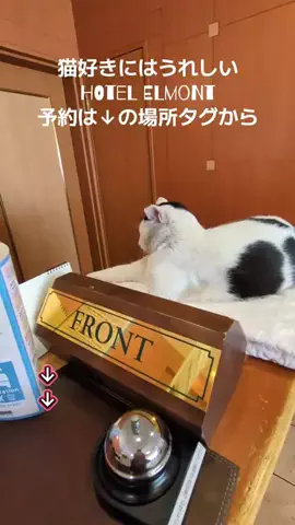 トアンもん　チャンネルのTikTok投稿