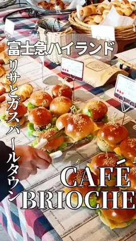 オヤジ飯🐱長野グルメ食べ歩きのTikTok投稿