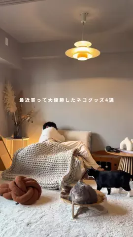 よもぎ | シンプルだけどお洒落な暮らしのTikTok投稿
