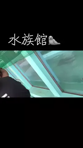 ゆなパパ🌻のTikTok投稿
