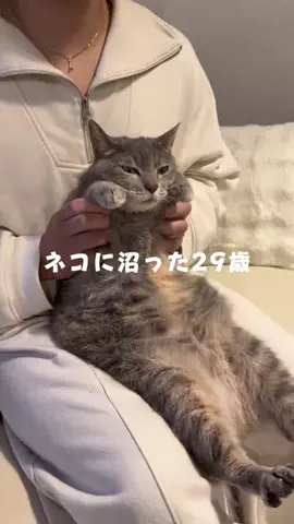 よもぎ | シンプルだけどお洒落な暮らしのTikTok投稿