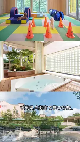 @gstaydailyのTikTok投稿