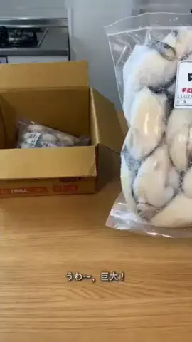 user2915417292731のTikTok PR投稿：❤️ 【甲羅組】ジャンボ広島かき1kg（解凍後 850g/約26～35…
