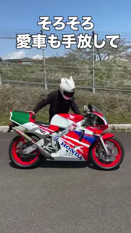 ねこかずのTikTok投稿
