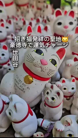 東京クイーン [tokyoqueen]のTikTok投稿
