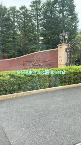 NのTikTok投稿