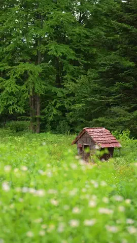 MottyTravel👒のTikTok投稿