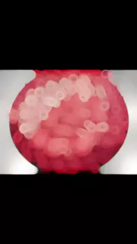 焼肉王子🐃👑のTikTok投稿