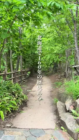 けんじ グルメマンのTikTok投稿