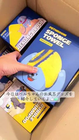 ベル🔔のTikTok投稿