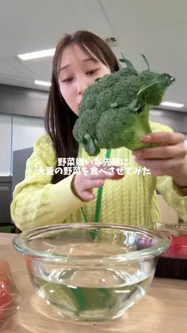 かぶりつきご飯日記のTikTok投稿