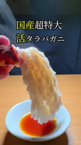 セイゴ水産のTikTok投稿