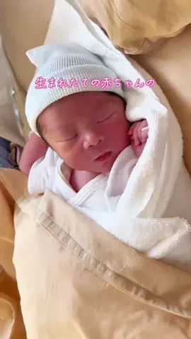 もちまる〻ずぼらママを救う育児のTikTok投稿