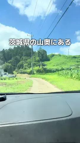たー | 茨城のコレ知ってる!?のTikTok投稿