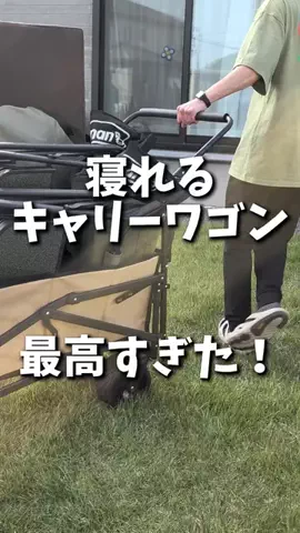 るうのTikTok投稿