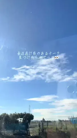 Y uのTikTok投稿