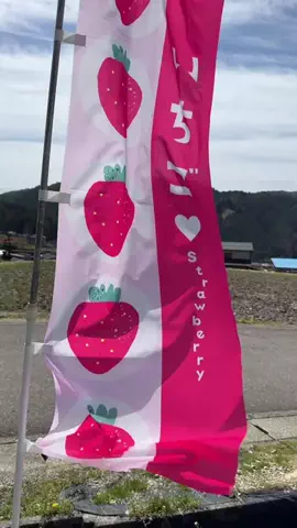 【公式】下呂温泉ホテルくさかべアルメリアのTikTok投稿