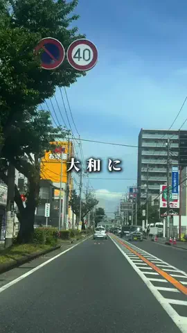 しょうご | 物語を紡ぐお散歩クリエーターのTikTok投稿