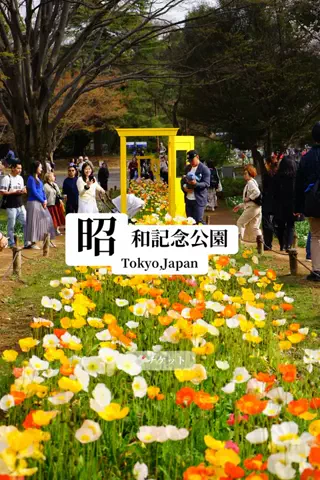 旅するtakkiのTikTok投稿