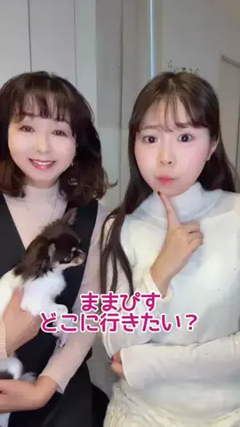 ほのぴす🐰👑のTikTok投稿
