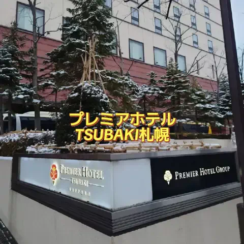 ホーリーゆうのTikTok投稿