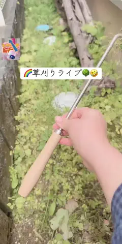 みやも人形のTikTok投稿